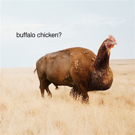 reddit buffalo